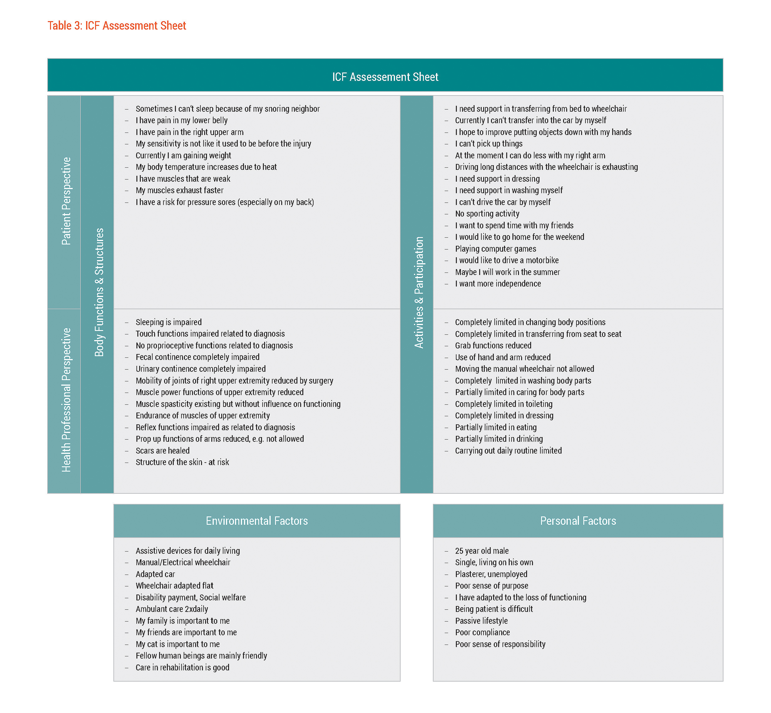 Figure 1: ICF Assessment Sheet