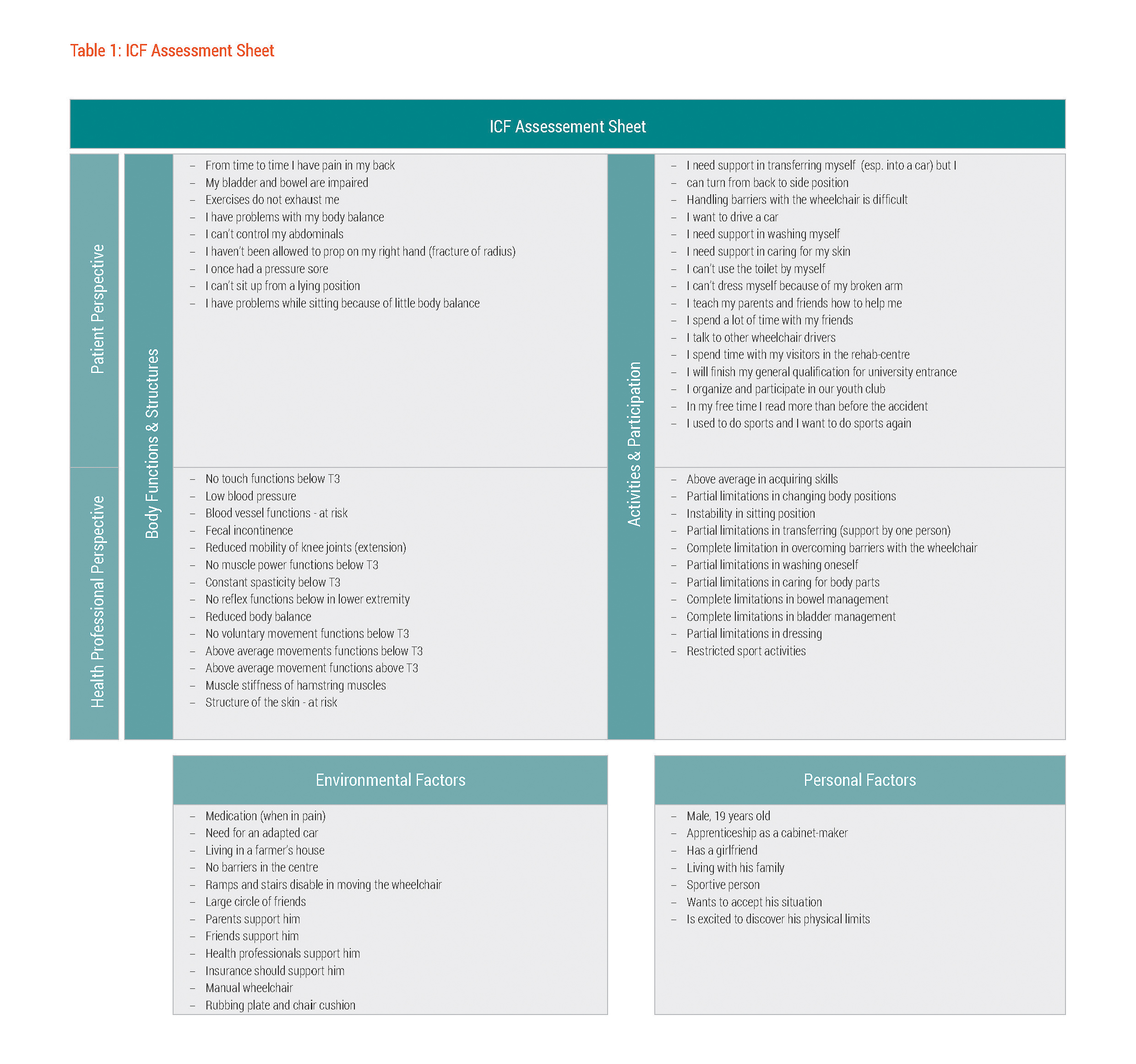 Figure 1: ICF Assessment Sheet